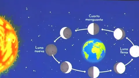 Captura de pantalla 2026-03-24 152658