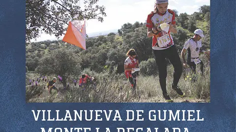 Diputaci&oacute;n de Burgos