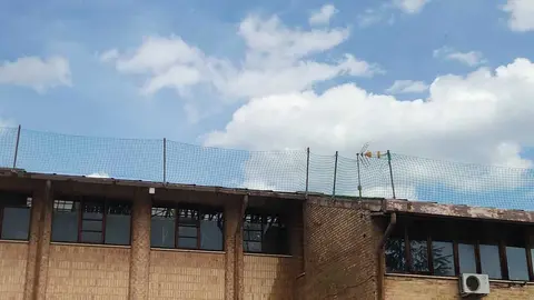 POLIDEPORTIVO MUNICIPAL