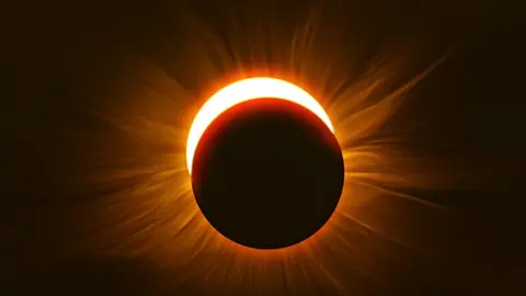 Captura de pantalla 2026-04-29 172903