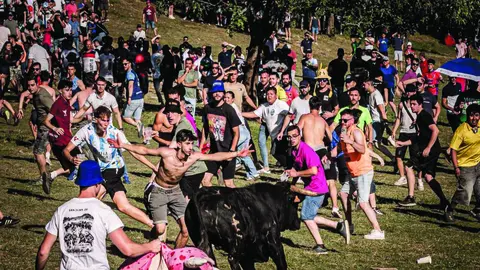Algunas de las miles de personas que acudieron a la tarde de Lavalenguas en Soria. Cogidas y buen ambiente