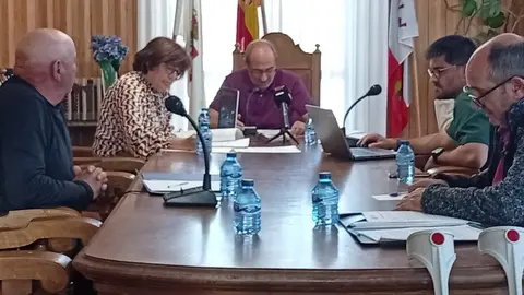 El pleno de Covaleda aprueba el padrón de aprovechamientos forestales sin la esperada reunión con la Sociedad de Maderas
