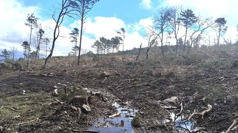 Clubs deportivos, colectivos y vecinos alertan sobre el progresivo deterioro de los montes en parajes de Pinares