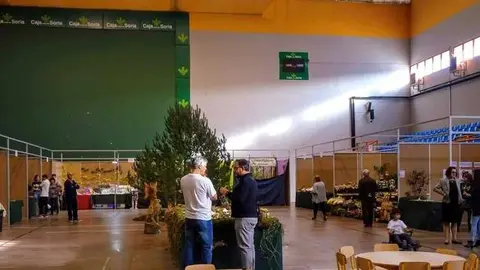 El alcalde de San Leonardo considera inminente el inicio de la reforma del polideportivo municipal