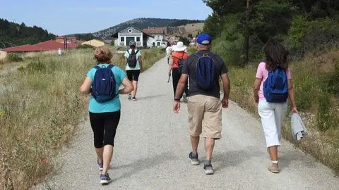 La Comisión de los Caminos de Santiago incluye como 'Tradicional'  al que jalona la comarca de Pinares desde Aragón