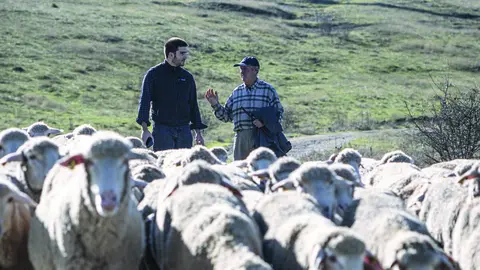 De los despachos a apostar por la lana de oveja merina y la fabricación de textil nacional