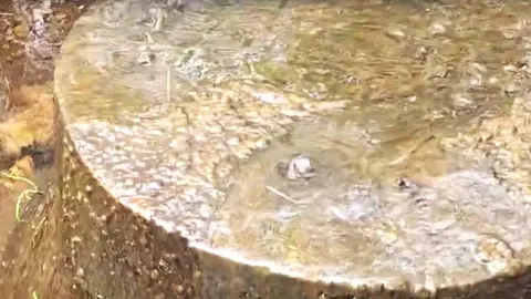 Junta y ecologistas estrechan el cerco al Ayuntamiento de Hontoria  del Pinar en su responsabilidad por los vertidos incontrolados al parque natural