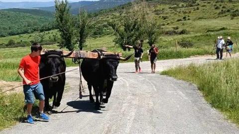 Los carreteros arrancan la XXVII Ruta que les traslada por los pueblos de la Cabaña, de Palacios a Cabrejas