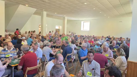 Gran éxito de participación en el I Torneo de Guiñote de Vilviestre del Pinar: 70 parejas y un ambiente excepcional