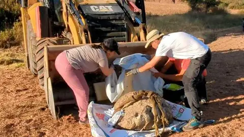 Rescatada una huella fósil de un dinosaurio gigante de 125 millones de años de antigüedad en la Sierra de la Demanda