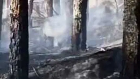 Controlado el incendio de Vinuesa horas después gracias a la rápida intervención de los medios contraincendios
