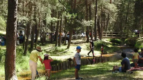 El PSOE de San Leonardo cree necesario adaptar la 'Suerte de pinos' a la realidad actual