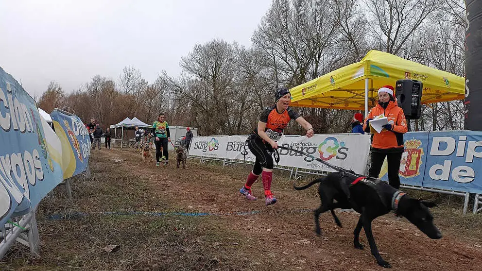 Diputaci&oacute;n de Burgos