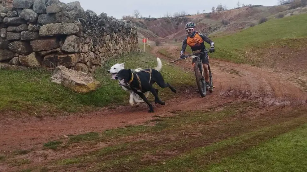 Diputaci&oacute;n de Burgos