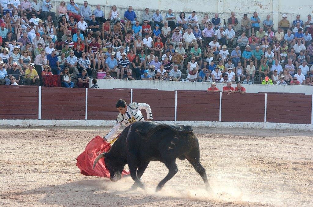 SALAS ALEJANDRO ADAME 2