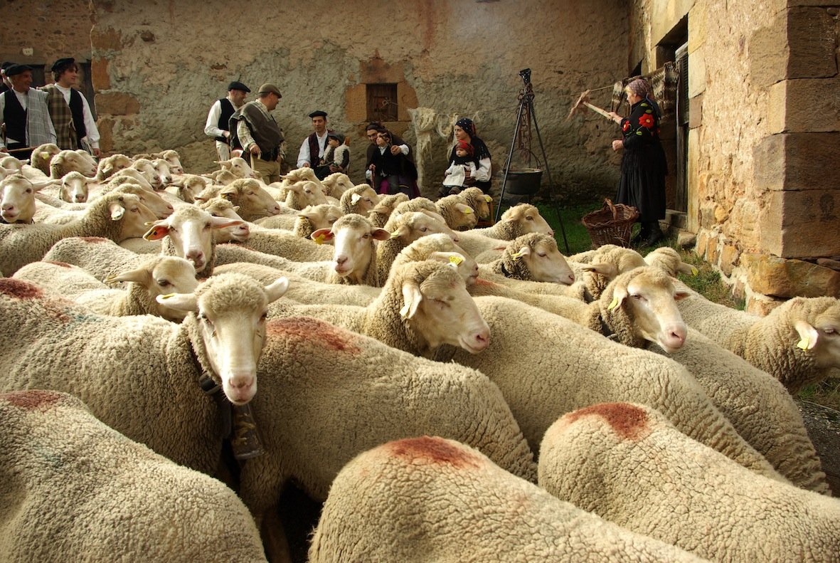 FOto Tolbaños de Arriba