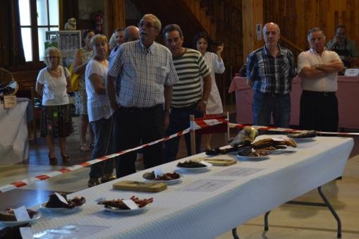 DSC_0091_509x339
