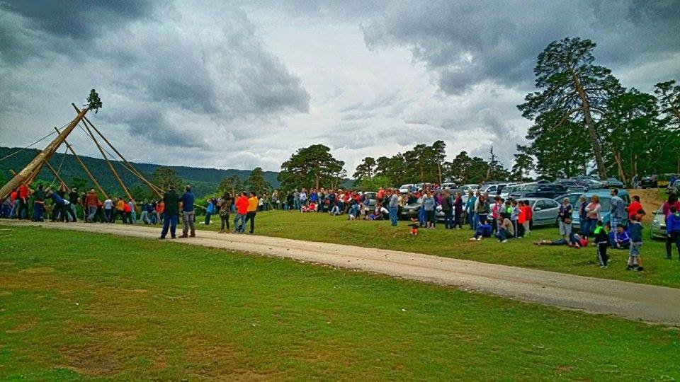 PINGADA DEL MAYO COVAL 2