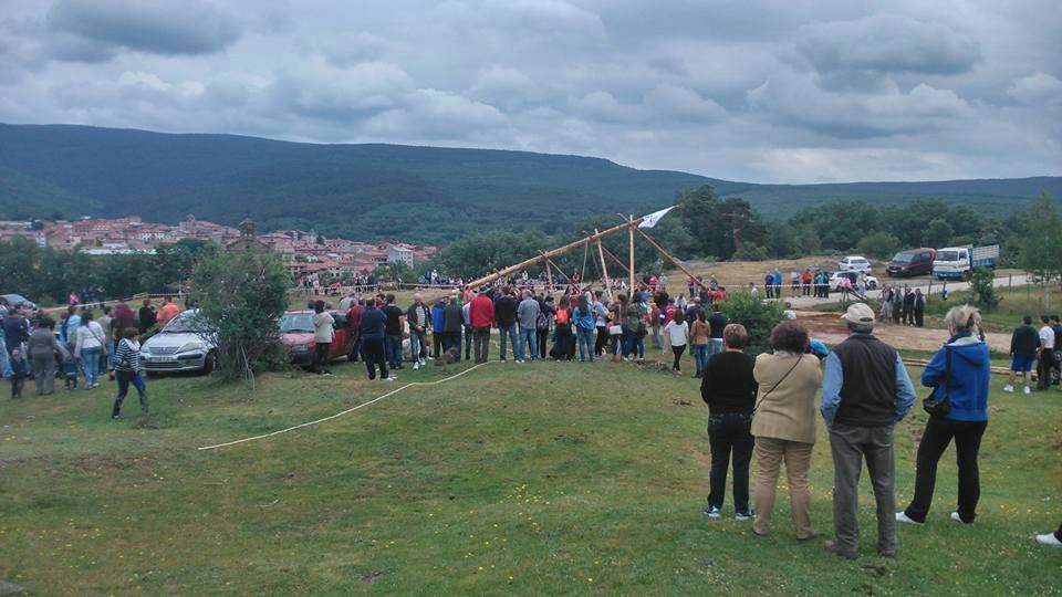 pingada del mayo coval 3