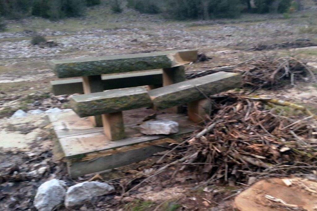 0 CORTA CHOPOS PARQUE NATURAL RIO LOBOS_MESA ROTA_1