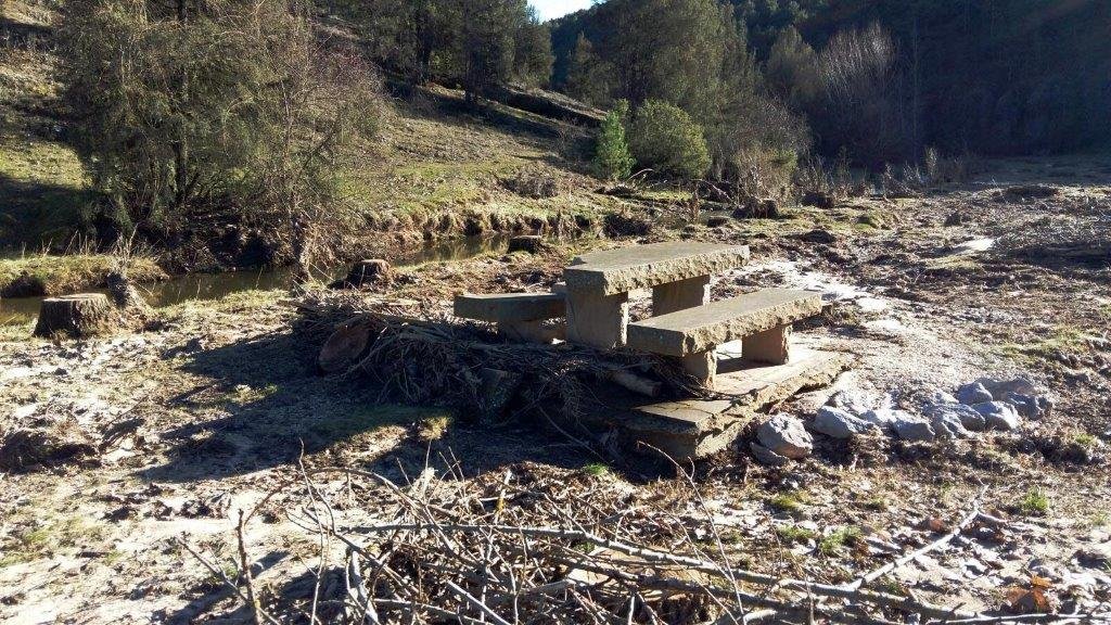 1CORTA CHOPOS PARQUE NATURAL RIO LOBOS_MESA ROTA_2