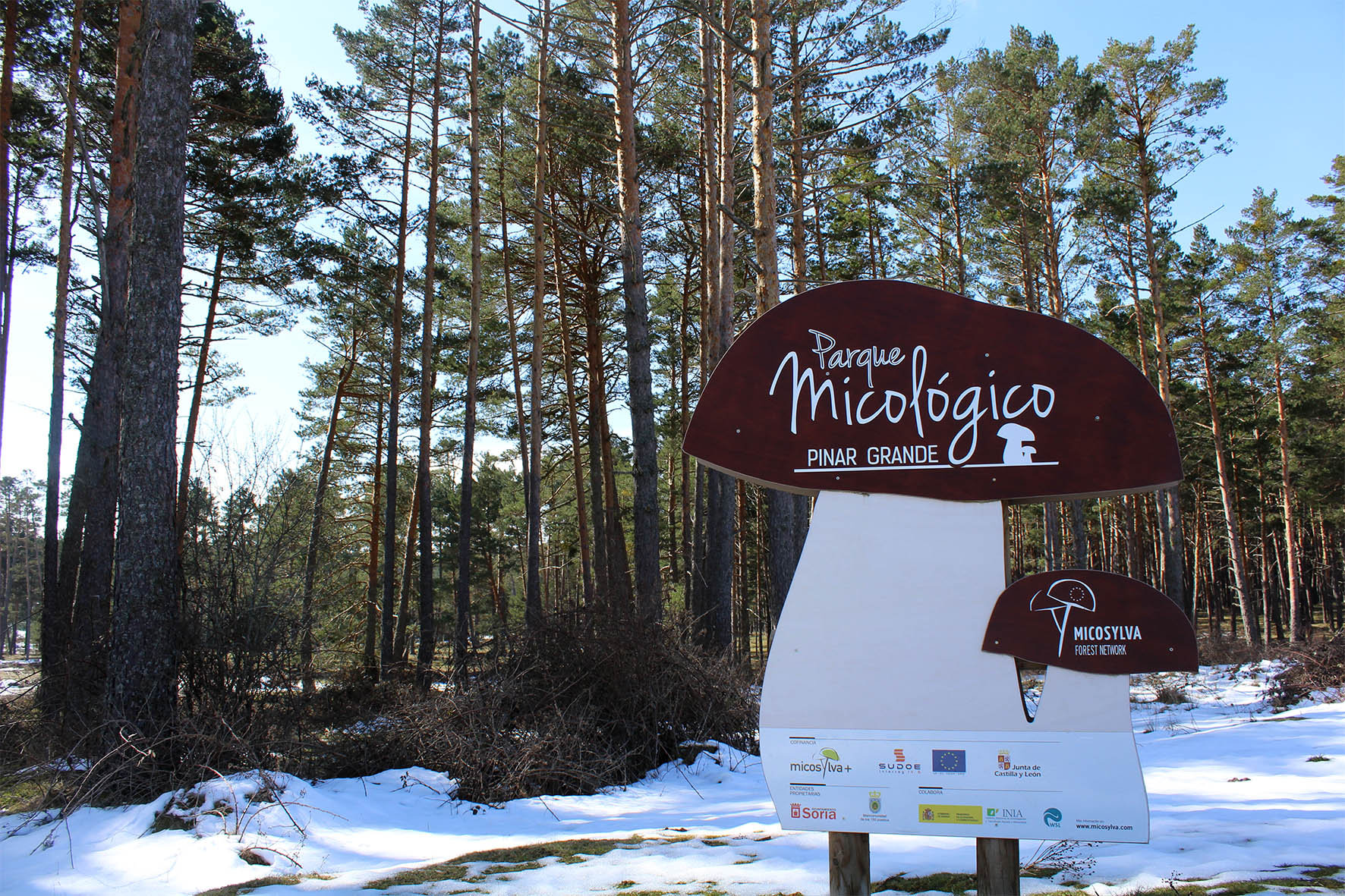 Parque_Pinar_Grande_press