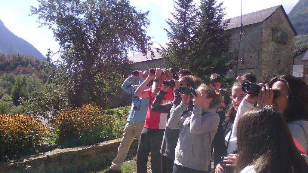 Taller de observación