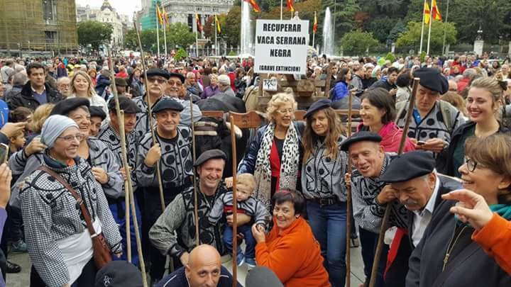 FB_IMG_1477239078767