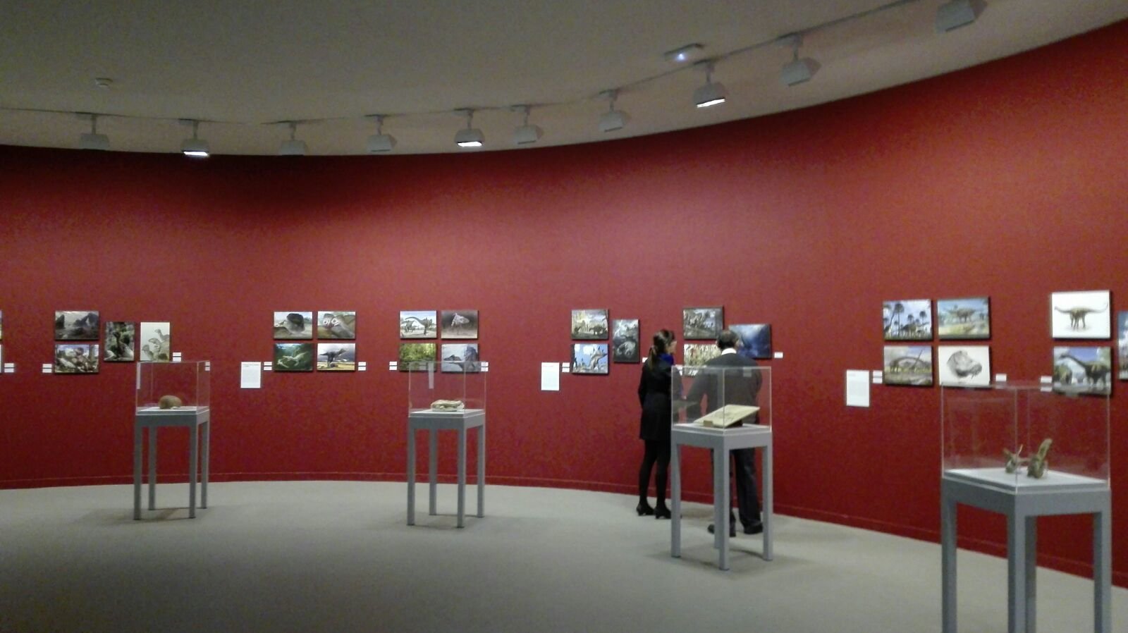 0_IMG-20170405-WA0008