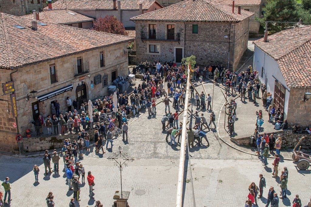 IMG_6542 Pingada del Mayo en Molinos de Duero 2017. Foto Angel Leiva