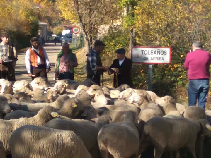 FB_IMG_1508764811847