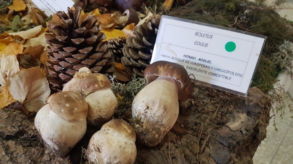 20171029_133948 - copia