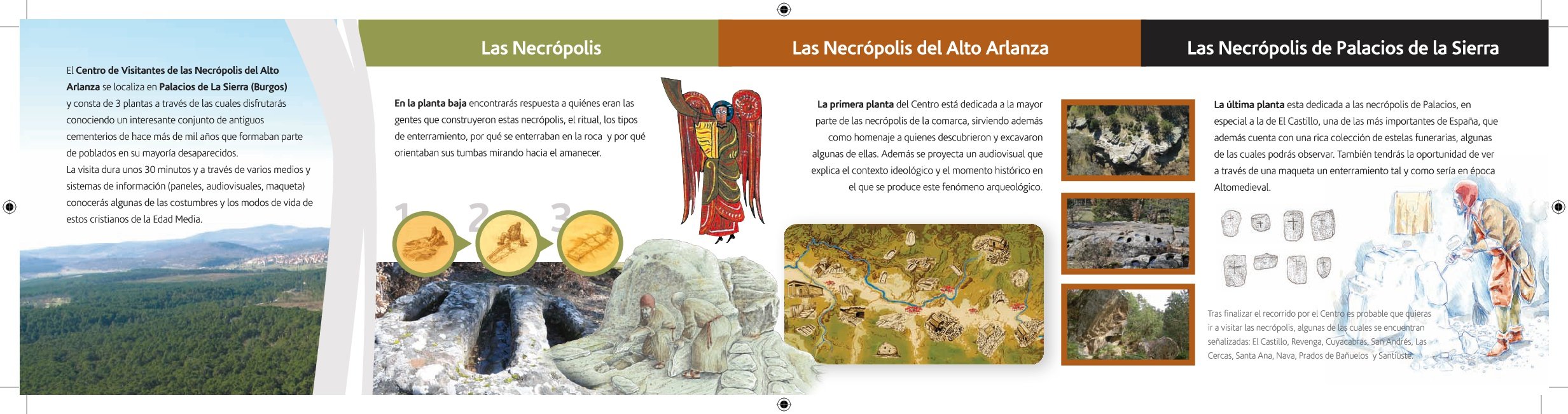 dipticocentrovisitantesnecropolis_0-002