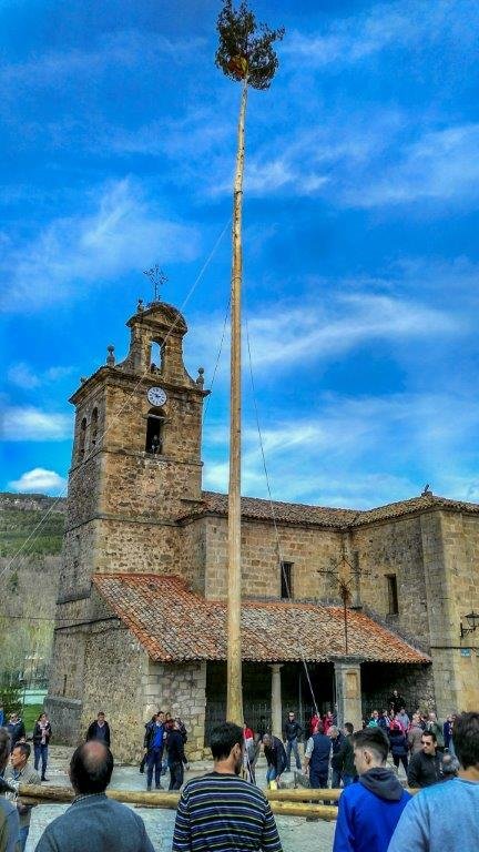 IMG_20180501_144851_410 Pingada del Mayo en Molinos 2018. Foto Ángel Leiva