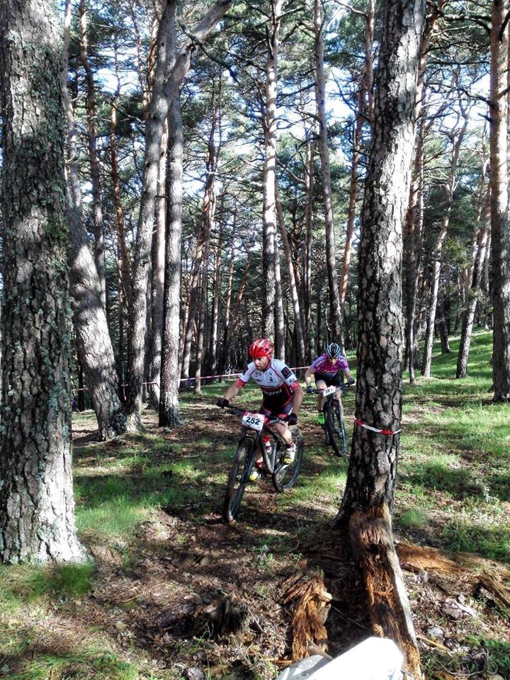 34418515_2044055095852366_166395494132613120_n (1)