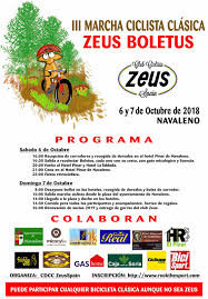 Cartel Boletus Zeus