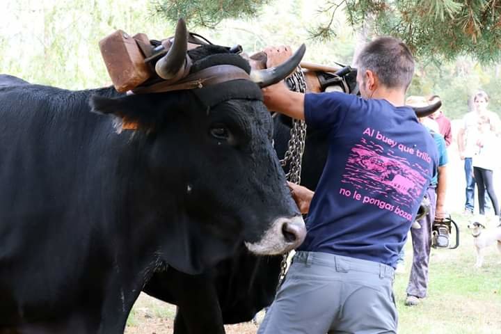 FB_IMG_1539611135597