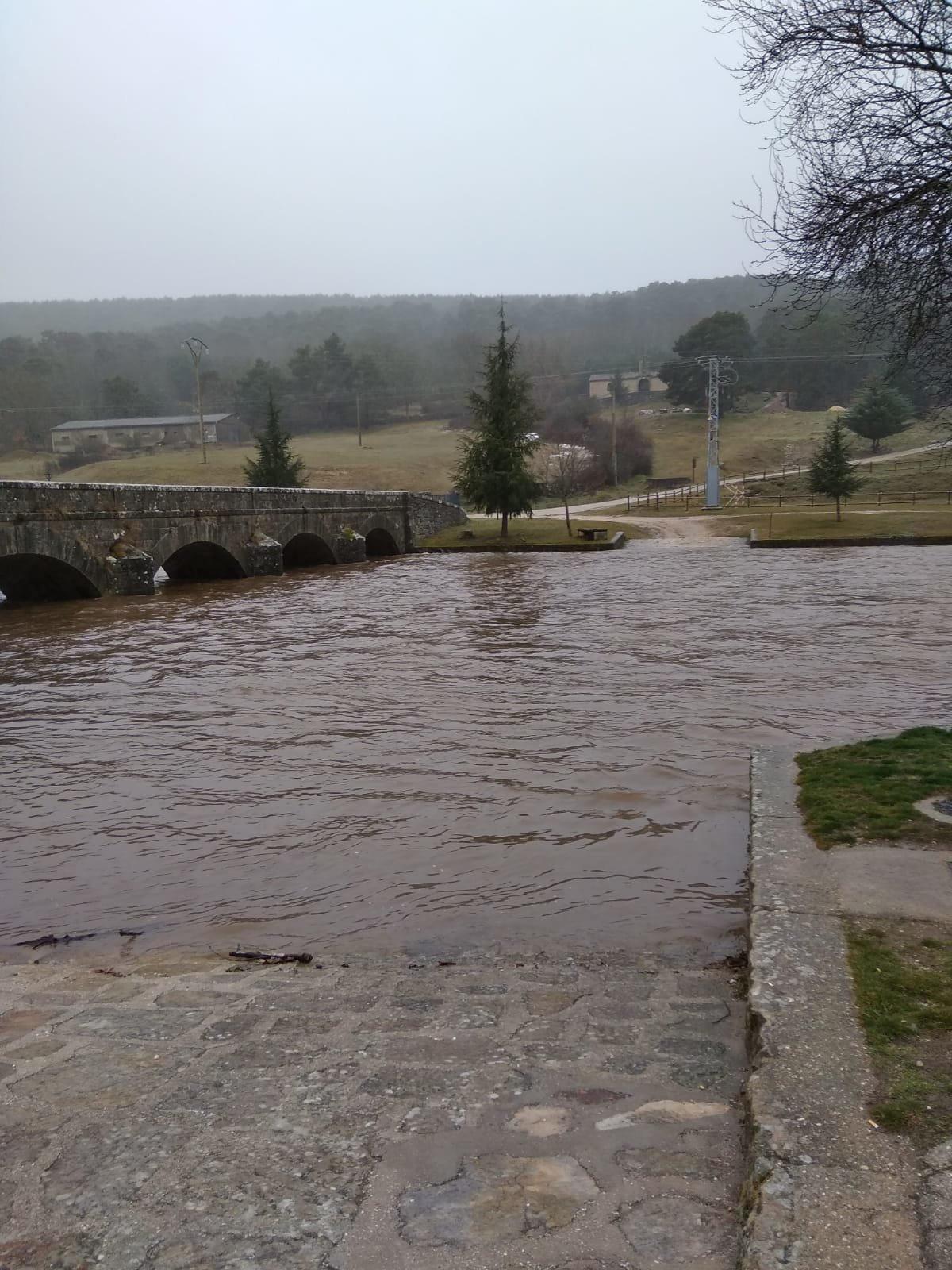 IMG-20190131-WA0003(1)