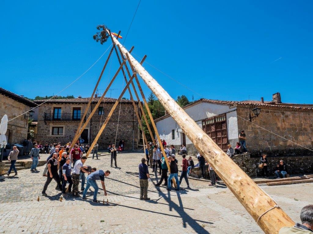 P5040199 Pingada del mayo en Molinos de Duero. 4 de Mayo de 2019 (Foto. Ángel Leiva)