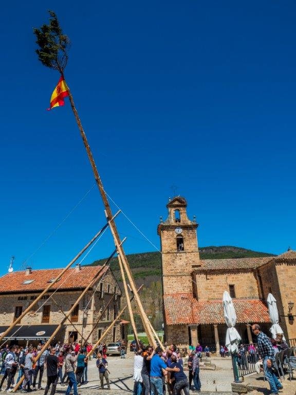 P5040203 Pingada del mayo en Molinos de Duero. 4 de Mayo de 2019 (Foto. Ángel Leiva)