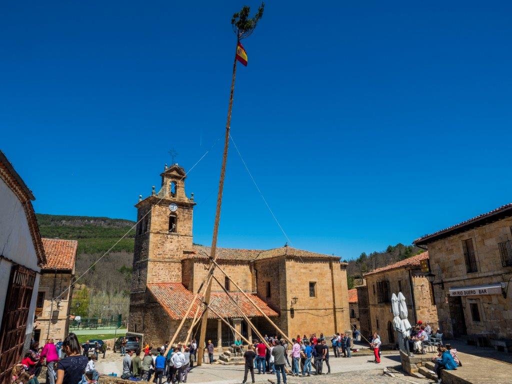 P5040216 Pingada del mayo en Molinos de Duero. 4 de Mayo de 2019 (Foto. Ángel Leiva)