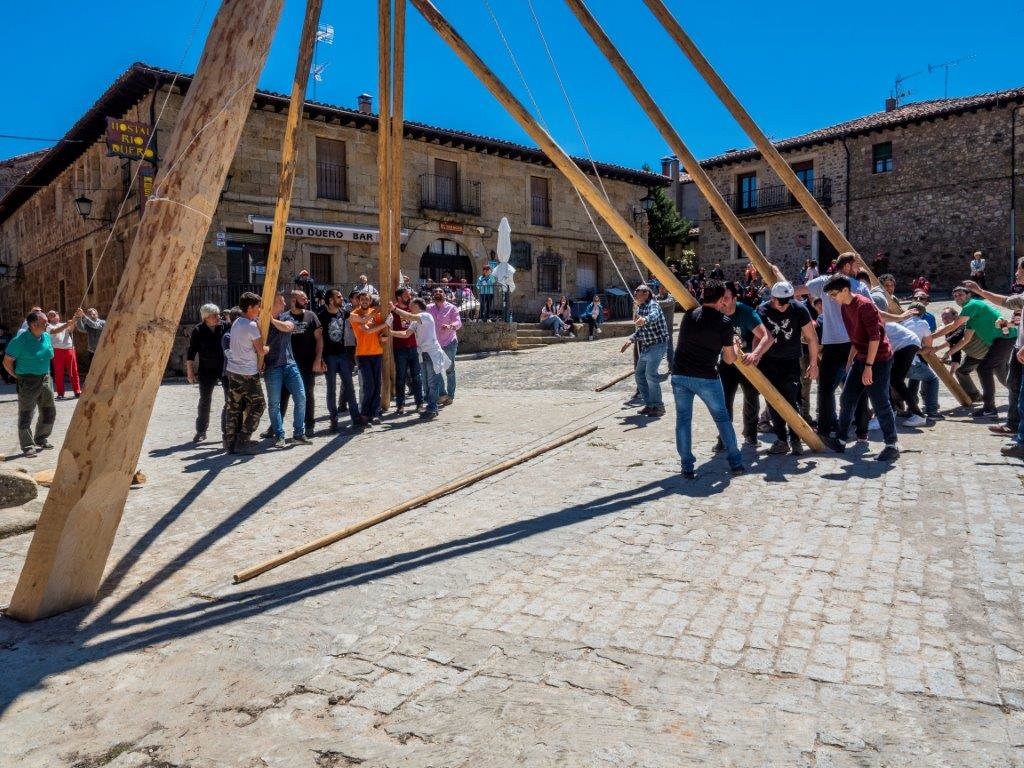 P5040222 Pingada del mayo en Molinos de Duero. 4 de Mayo de 2019 (Foto. Ángel Leiva)