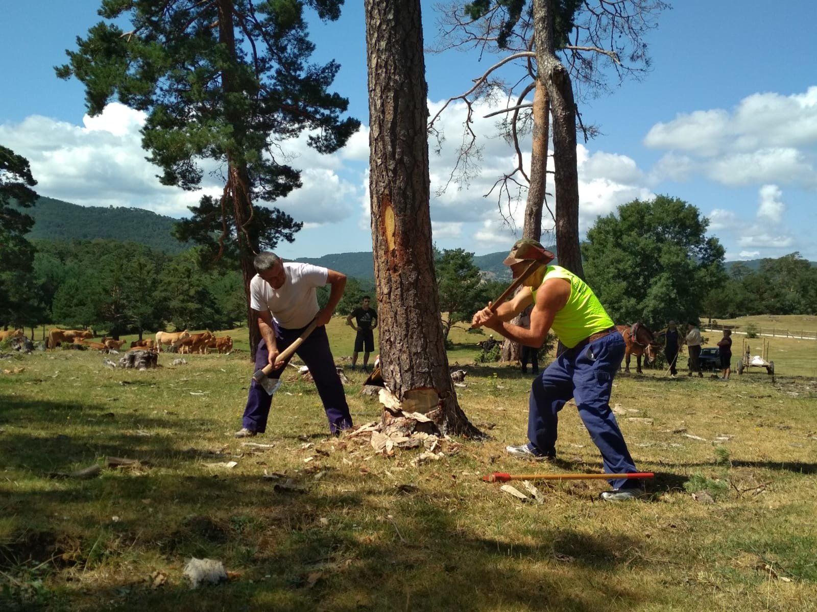 WhatsApp Image 2019-07-14 at 17.49.30