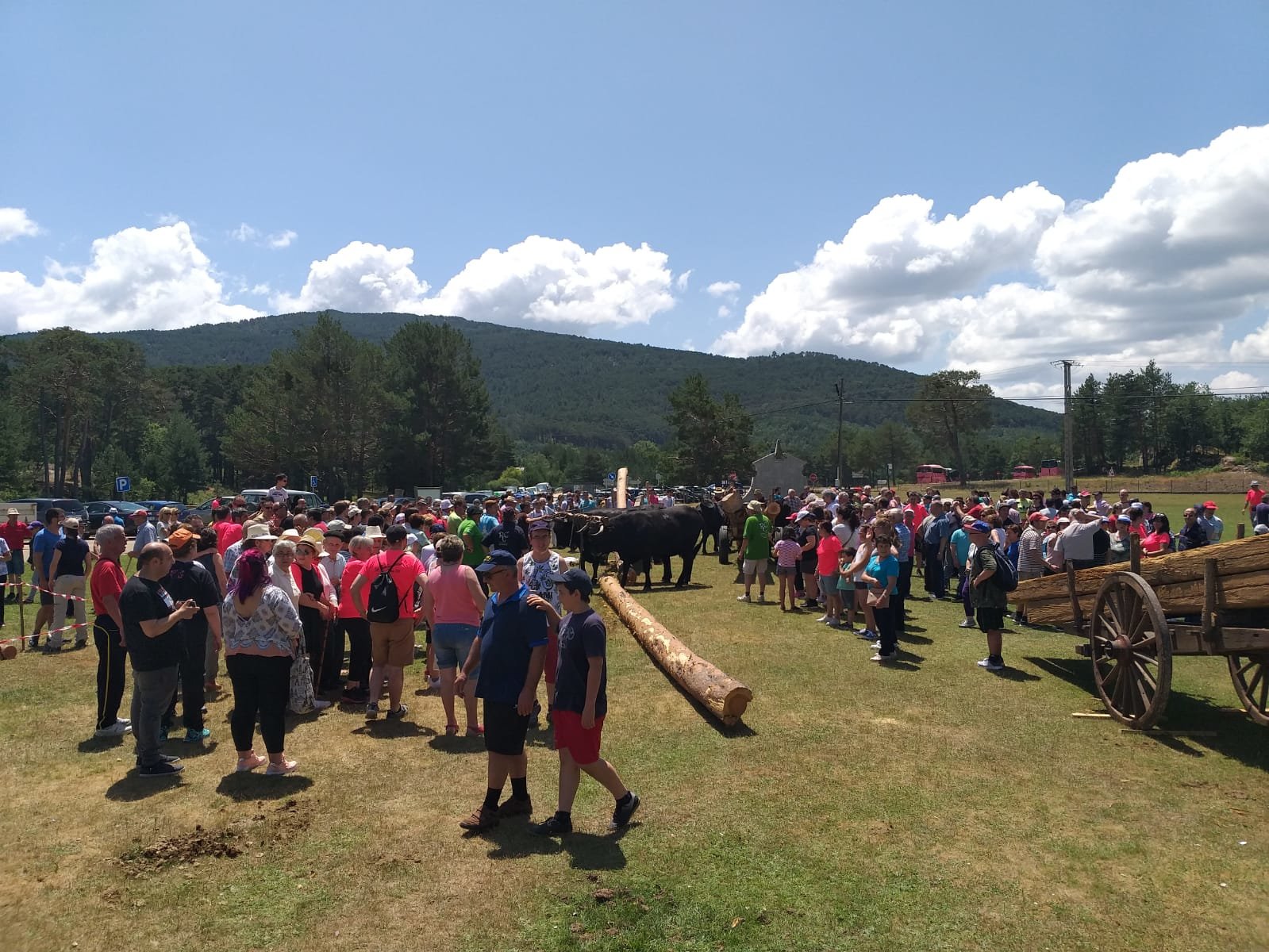 WhatsApp Image 2019-07-14 at 17.50.18