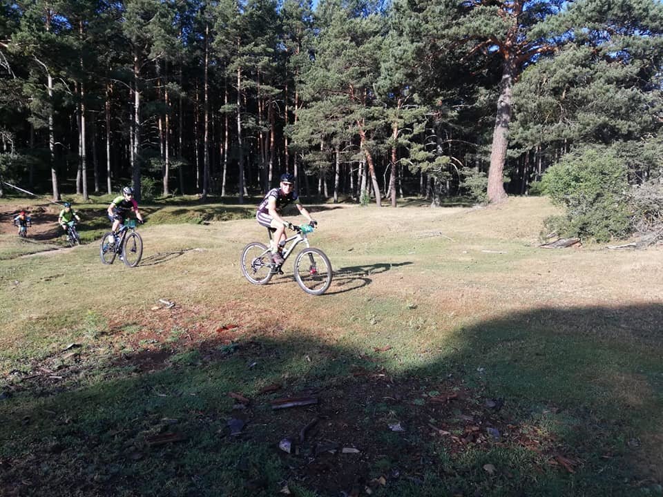 66858256_2209749759136306_5557718205356572672_n