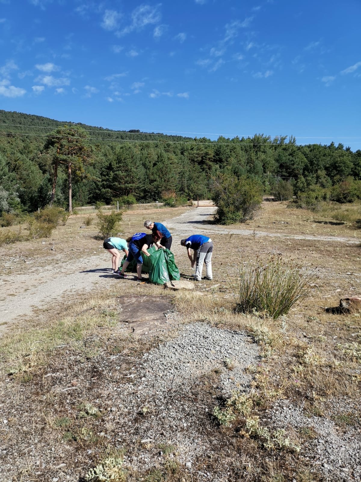 bcb947db-d012-41f1-a759-251fc31c0958