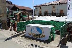 IMG_4754