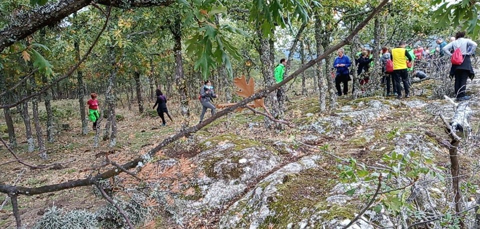 75250957_2449363628634734_7859181632123568128_n