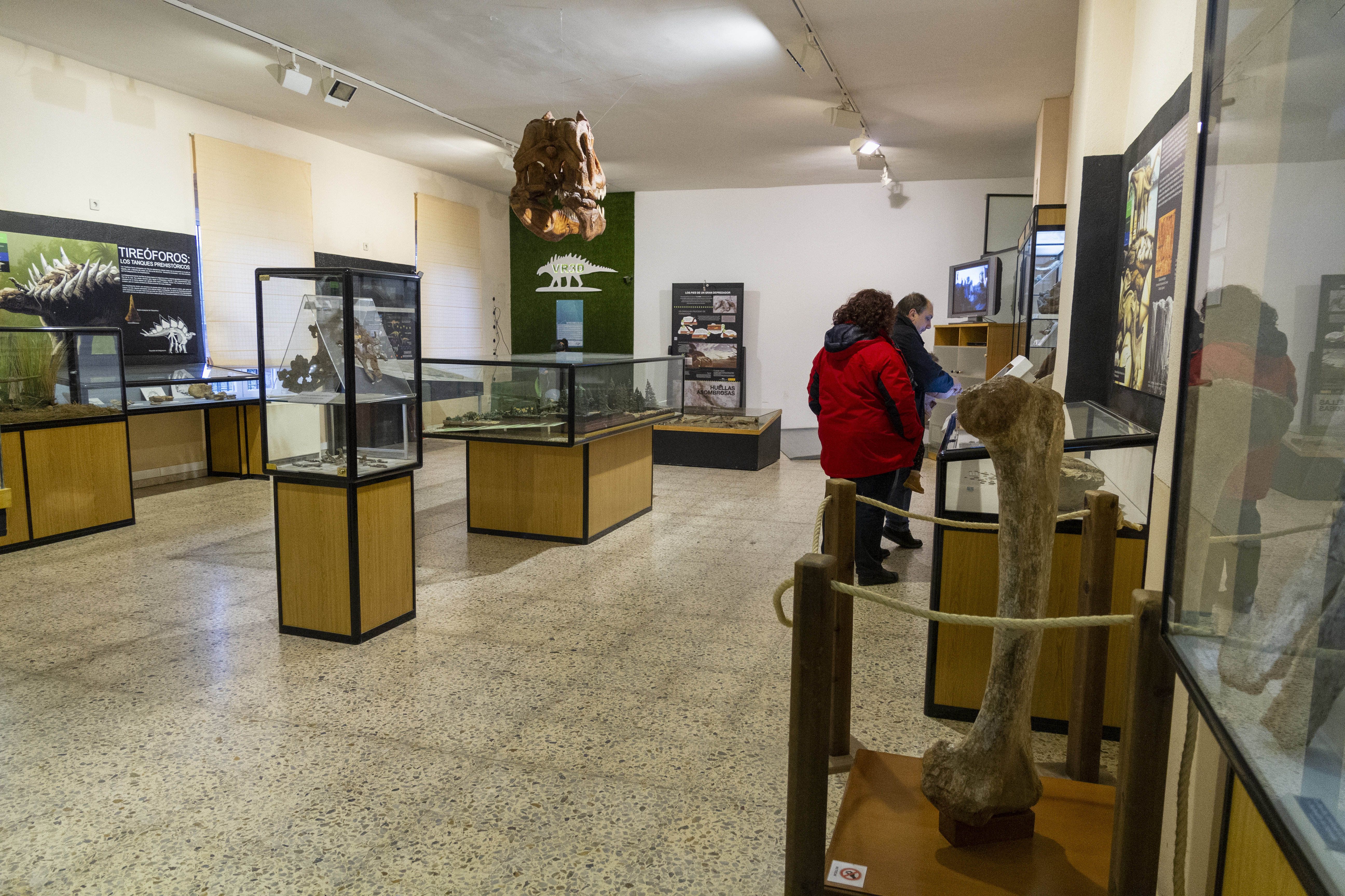 Interior del museo de dinosaurios