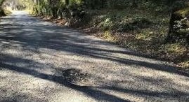 Pista forestal con baches.
